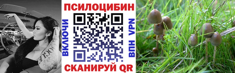 Галлюциногенные грибы мицелий  omg как войти  Сызрань 
